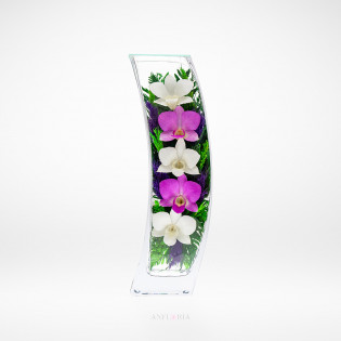 Echte Blumen in Glasvase-SqCO 3